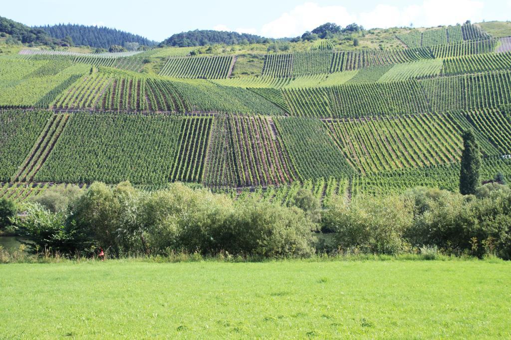 B&B Zum Treppchen Lösnich Εξωτερικό φωτογραφία